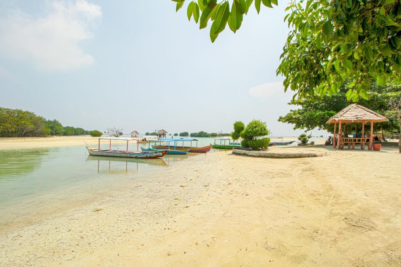 Guerilla Dive Lodge Pulau Pari Jakarta Exteriér fotografie